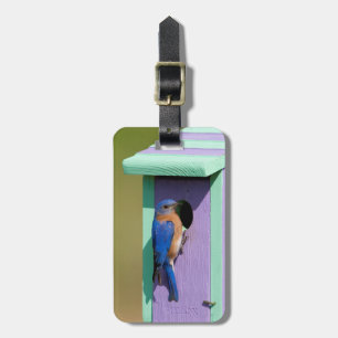 Eastern Bluebird Luggage Tag