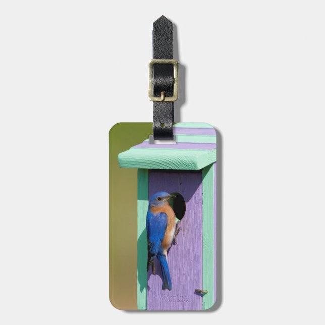 Eastern Bluebird Luggage Tag (Front Vertical)