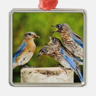 Eastern Bluebird Metal Tree Decoration