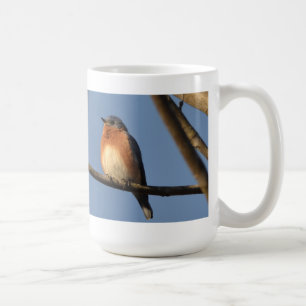 Eastern Bluebird Mug
