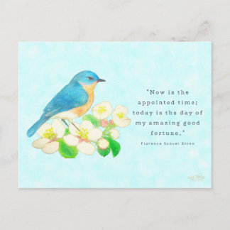 Eastern Bluebird- My Amazing Good Fortune Postcard