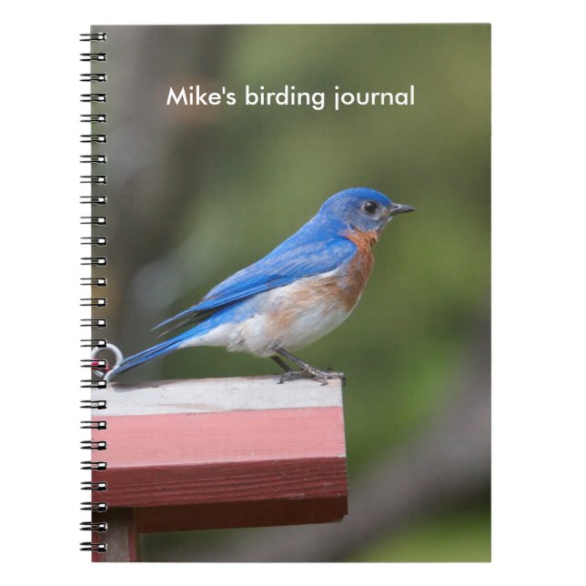 Eastern Bluebird Notebook (Front)
