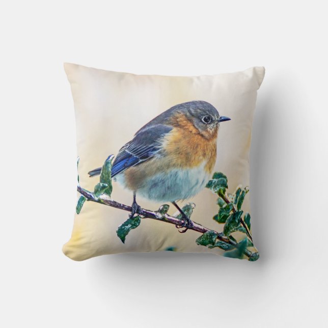 Eastern Bluebird on Ice Covered Limb Throw Pillow (Front)