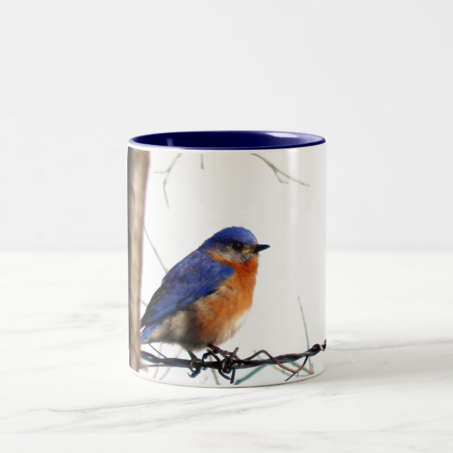Eastern Bluebird Photo Two-Tone Coffee Mug (Center)