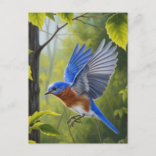 Eastern Bluebird Postcard