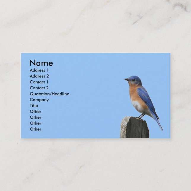 Eastern Bluebird Profile Card (Front)