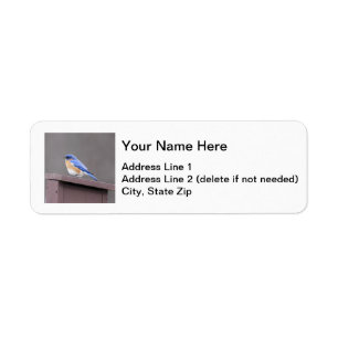 Eastern Bluebird Return Address Label
