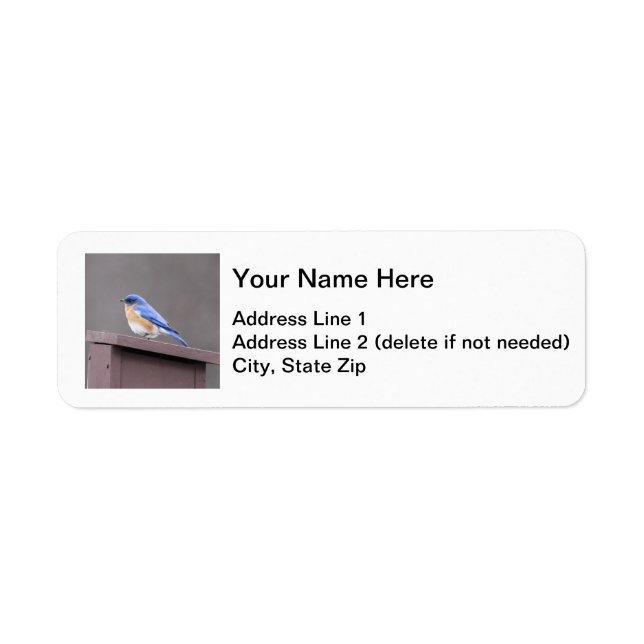 Eastern Bluebird Return Address Label (Front)