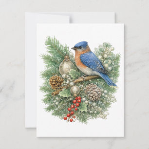 Eastern Bluebird Winter Songbirds Collection Card