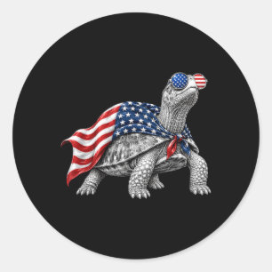 Eastern Box Turtle 4th Of July Aamerican Flag Classic Round Sticker