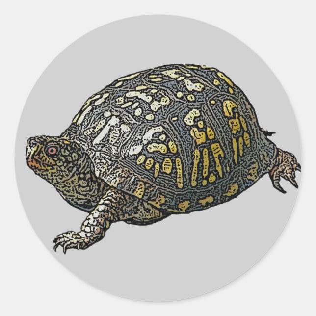 Eastern Box Turtle Coordinating Items Classic Round Sticker (Front)