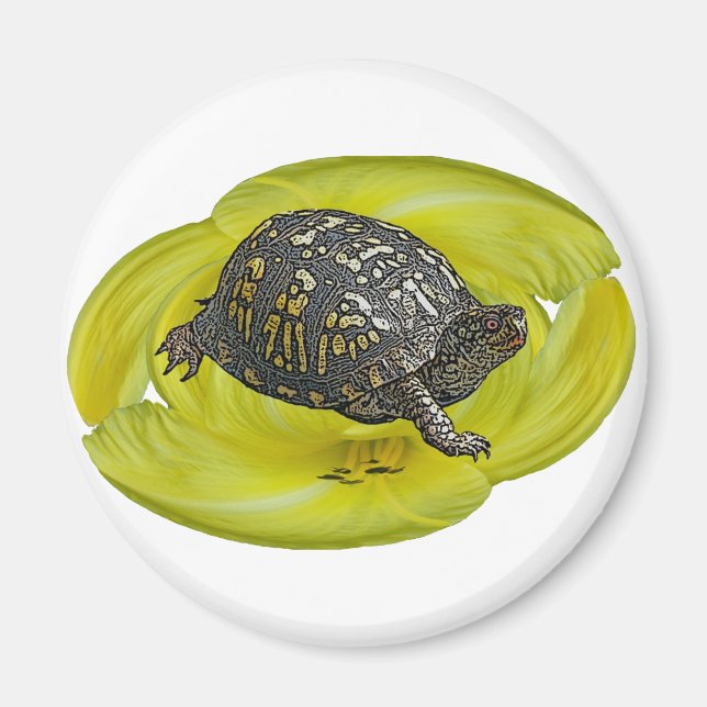Eastern Box Turtle Coordinating Items Magnet (Front)