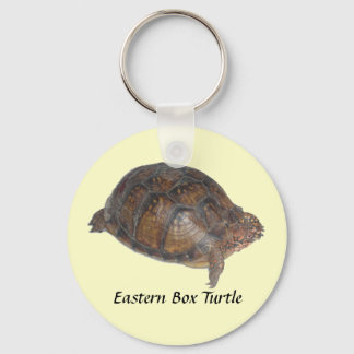 Eastern Box Turtle Key Ring