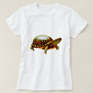 Eastern Box Turtle Ladies Babydoll Shirt