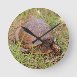 Eastern Box Turtle (North Carolina and Tennessee) Round Clock
