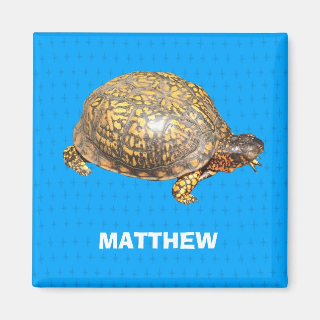 Eastern Box Turtle Photo Personalized Magnet (Front)