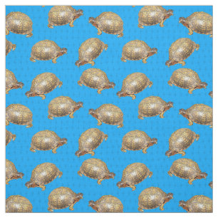 Eastern Box Turtles Bright Blue Patterned Fabric