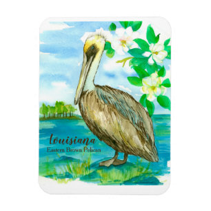 Eastern Brown Pelican Louisiana State Bird Magnet
