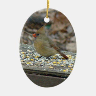 Eastern Cardinal Songbird Christmas Ornament