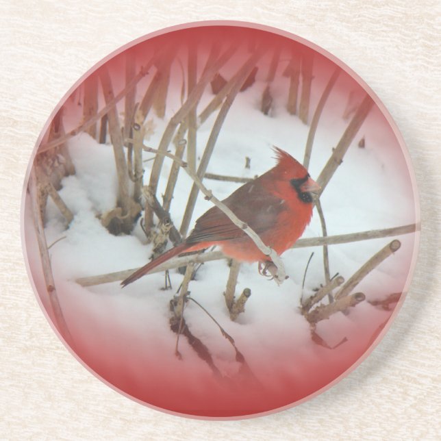 Eastern Cardinal Songbird Coster Coaster (Front)