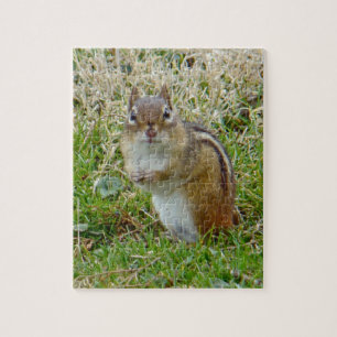 Eastern Chipmunk Jigsaw Puzzle