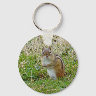 Eastern Chipmunk Key Ring