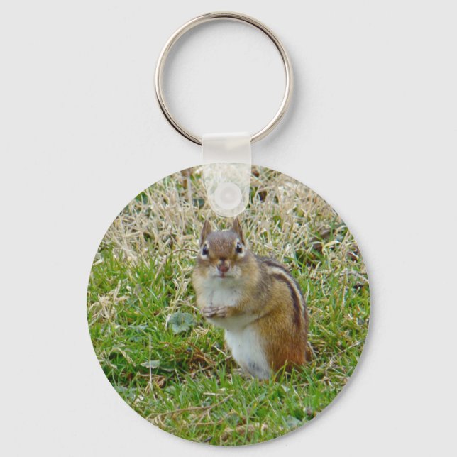 Eastern Chipmunk Key Ring (Front)