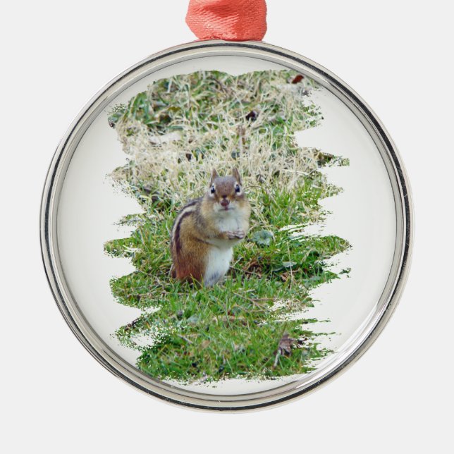 Eastern Chipmunk Metal Ornament (Front)