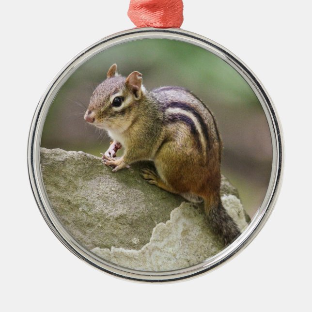 Eastern Chipmunk Metal Tree Decoration (Front)