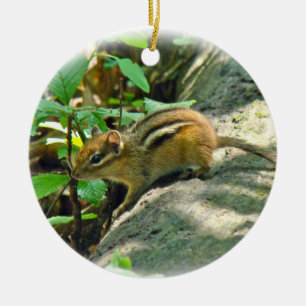 Eastern Chipmunk on Log Ceramic Tree Decoration