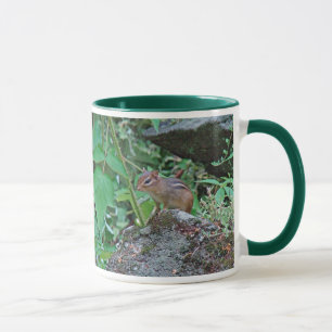 Eastern Chipmunk on Rock Mug
