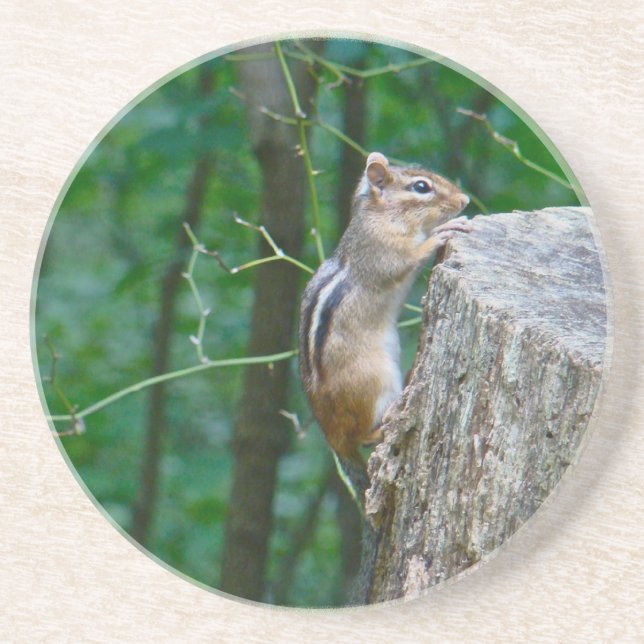 Eastern Chipmunk on Stump Coaster (Front)