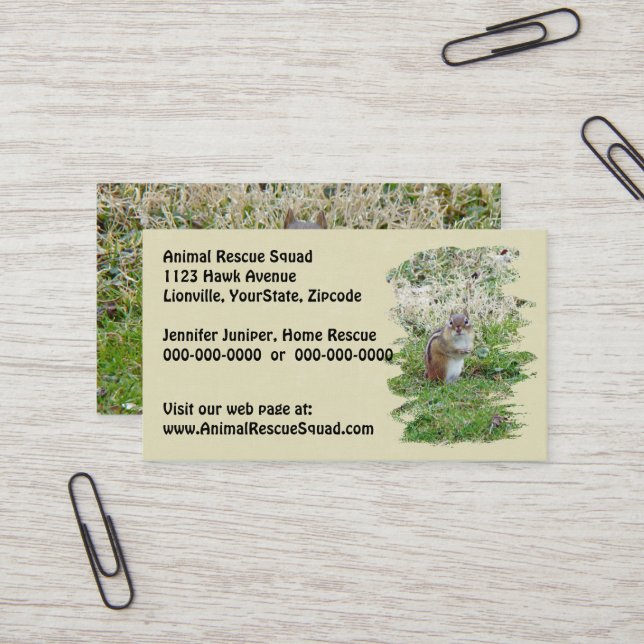 Eastern Chipmunk - Tamias striatus Business Card (Front/Back In Situ)