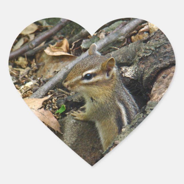 Eastern Chipmunk - Tamias striatus Heart Sticker (Front)