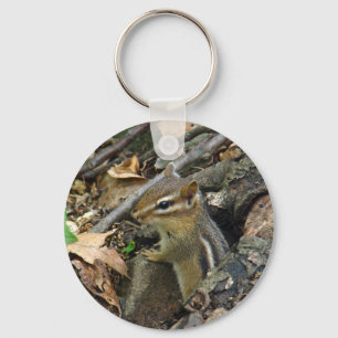 Eastern Chipmunk - Tamias striatus Key Ring