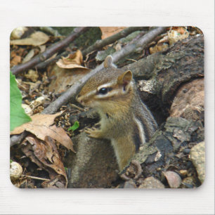 Eastern Chipmunk - Tamias striatus Mouse Pad