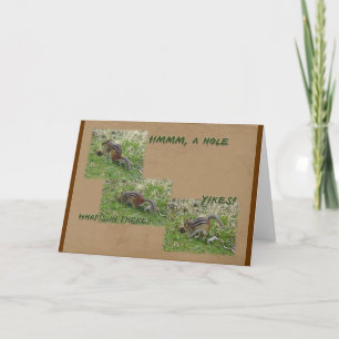 Eastern Chipmunk - Tamias striatus - YIKES Holiday Card