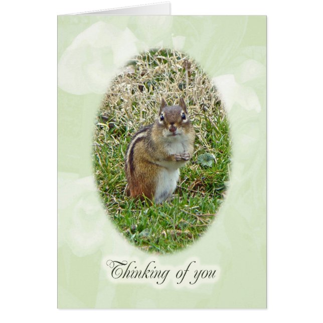 Eastern Chipmunk - Thinking of You (Front)