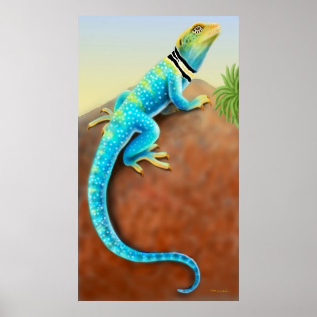 Eastern Collared Lizard Poster (Front)