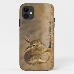 Eastern cottontail rabbit hopping iPhone 11 case