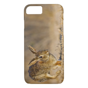Eastern cottontail rabbit hopping iPhone 8/7 case