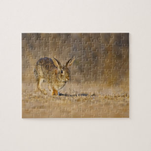 Eastern cottontail rabbit hopping jigsaw puzzle