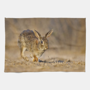 Eastern cottontail rabbit hopping tea towel