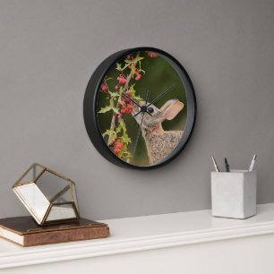 Eastern Cottontail South Texas Clock