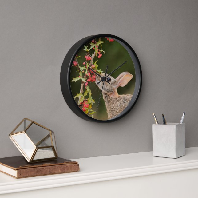 Eastern Cottontail | South Texas Clock (Office)