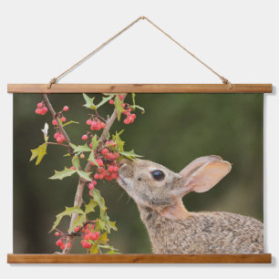 Eastern Cottontail South Texas Hanging Tapestry
