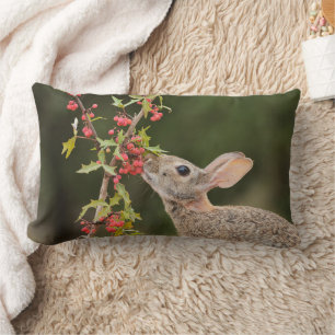 Eastern Cottontail   South Texas Lumbar Cushion