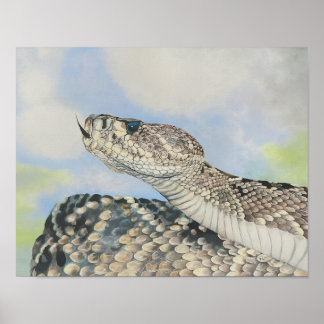 Eastern Diamondback Rattlesnake Poster