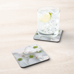Eastern Dogwood Blossoms - Cornus florida Coaster