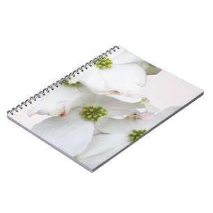 Eastern Dogwood Blossoms - Cornus florida Notebook